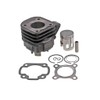 Replacement Cylinder + Piston + Gasket Kit 50 cc for