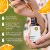Zenith Labs Liquid Vitamin C Drops for Adults - Nano