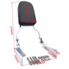 HONGK Chrome Flame Backrest Sissy Bar For 2001-2006 Honda Shadow