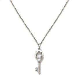 Loralyn Designs Small Medieval Skeleton Key Necklace Stainless Steel Chain (16-24 Inch) (16)