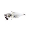 JACKALL TN70 Trigon Champagne Gordo Shad 2.8 inches (70 mm)