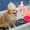 Fancy Pets Essentials Shampoo para Piel Sensible de Perro con
