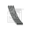 febi bilstein 28783 auxiliary belt - Pack of 1