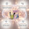 Esunm Yerba Mate Suplemento Nutricional 3 En 1 60raciones