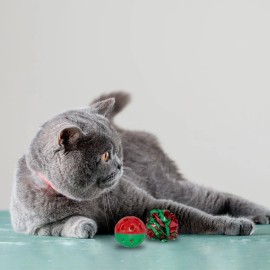 Juguetes Para Gato Pompones Pelota Carrusel Cascabel Campana