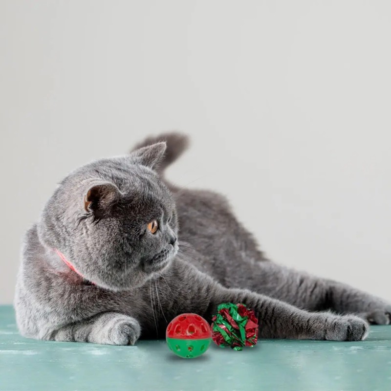 Juguetes Para Gato Pompones Pelota Carrusel Cascabel Campana