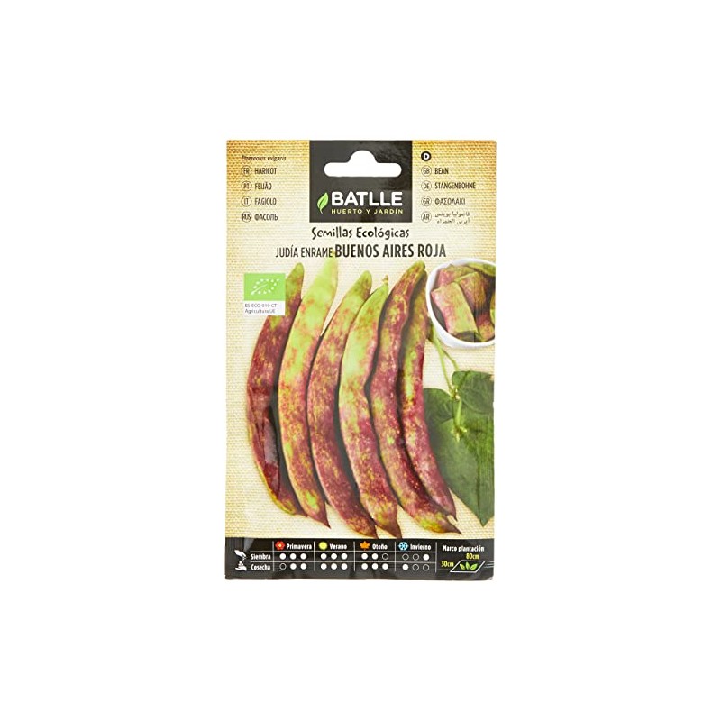 Organic Seeds - Red Trellis Beans Buenos Aires (20-50 Seeds