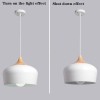 CHENKUI Nordic Simple Pendant Light Personality Design LampShade