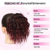 REECHO Ponytail Extension, 10” Short Curly Claw Clip Ponytail Extension