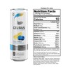CELSIUS Fizz Free Blue Razz Lemonade, Sugar Free Energy Drink,
