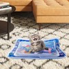Gosknor Cat Water Play Mat, 23.62x19.69 Inch Kitty Thickened Sensory