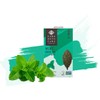 Yamamotoyama Mint Green Tea, 18 bags