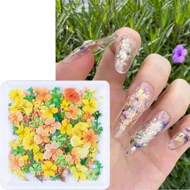 3D Dried Flowers for Nails, Spring Flower Nail Art Stickers 1Box Dried Flowers for Resin Crafts Colorful Small Natural Floral Dried Flower Decals for Summer Acrylic Nails Design Manicure Accessories