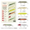 Big Bait Hi-Low 200F Parrot AHHILO200F-PARRT