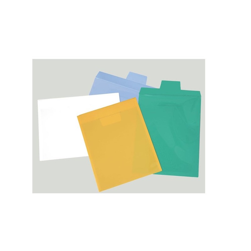 テージー キャリーバッグ(タテ型) 10枚パック CC-342-17 封筒型ファイル