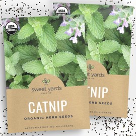 Catnip Seeds – Two Seed Packets! – Over 800 Open Pollinated Non-GMO Seeds – Sweet Yards Seed Co.