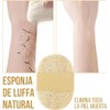 5 Esponja Vegetal Exfoliante Lufa 100% Natural Limpieza Corporal Elimina
