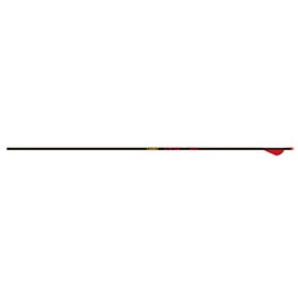 Gold Tip Velocity Arrows with Raptor Vane (Pack of 6), Black, 300