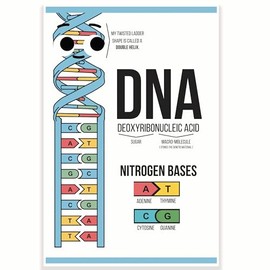 DNA Explanation Classroom Poster - Science Classroom Poster - 12 x 18 Inch - Classroom Decor - Classroom Must Haves - Back To School Decor - CPS0319