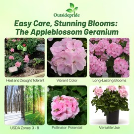 Outsidepride Appleblossom Geranium Seeds for Planting - 50 Pcs Annual, Heat & Drought Tolerant Flower Seeds with Green Foliage & Light Pink Blooms for Pots, Borders & Lush Summer Garden Displays