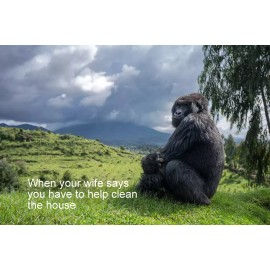 Funny  GORILLA  refrigerator magnet 3 1/2x 4 1/2"