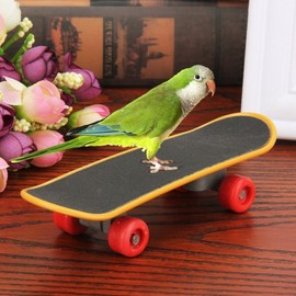 Hypeety Bird Parrot Intelligence Toys Training Skateboard Stand Perch for Parakeet Budgies Cockatiels Lovebird Funny Talbe Toy