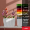 Kadax Indoor Flower Pot, Orchid Windowsill Planter, Plastic, Modern