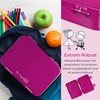 My Vesperbox Bento Box Children's Lunch Box with 4 +