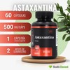 .Astaxantina 10 mg | 60 Cápsulas | Derivada de Algas