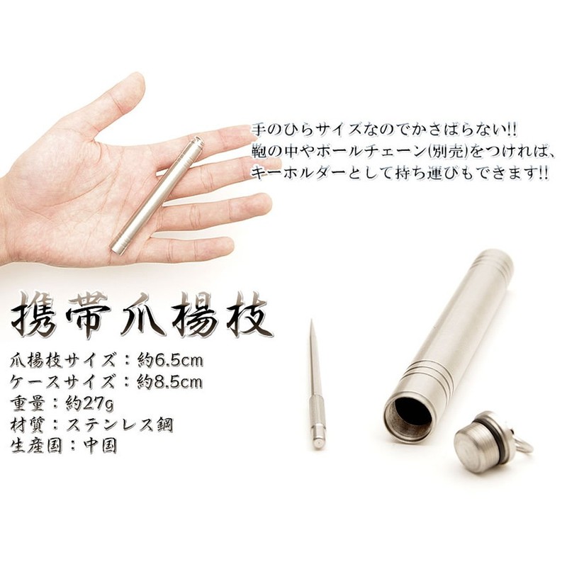 goodsland [Stainless Steel] Toothpick Case Set Mobile Food Travel Compact