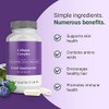 Theonia Collagen Complex Hyaluronic Acid & Sea Kelp Vitamin E,