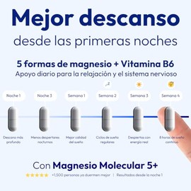 Magnesio Molecular 5+ | Paquete de 3 Frascos (180 Cápsulas) | Suplemento de Magnesio Complex con 5 Magnesios + Vitamina B6 | Glicinato, Citrato, Taura