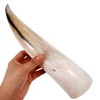 RUNROTOO 2Pcs Horn Wall Flower Vase: Natural Cow Horn Decorative