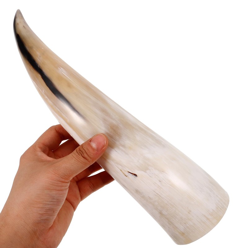 RUNROTOO 2Pcs Horn Wall Flower Vase: Natural Cow Horn Decorative
