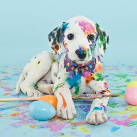 Maca Bates Easter Dog Collar with Breakaway Bow Tie Bowtie Rabbit Bunny Puppy Collars with Metal Buckle Cute Blue Adjustable Wide Soft for Small Medium Large Dogs for Girl Boy Pets