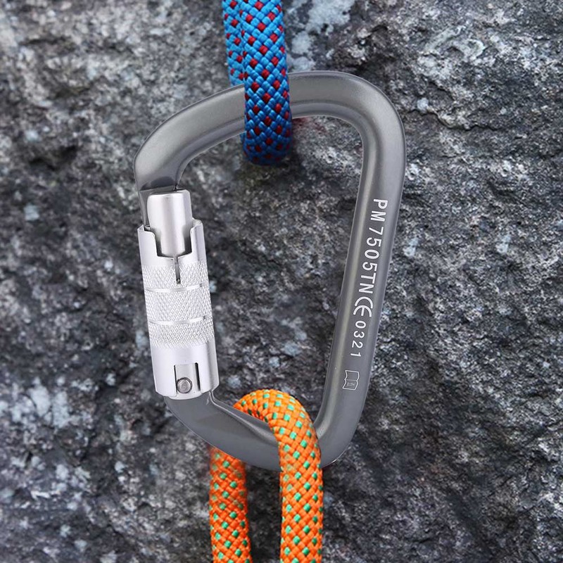 D Type Carabiner Rock Climbing Aviation Aluminum Outdoor Master Lock