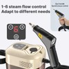 Irishom Handheld Multi-Surface Steam Cleaner with 6pcs Accessories, Touch Screen