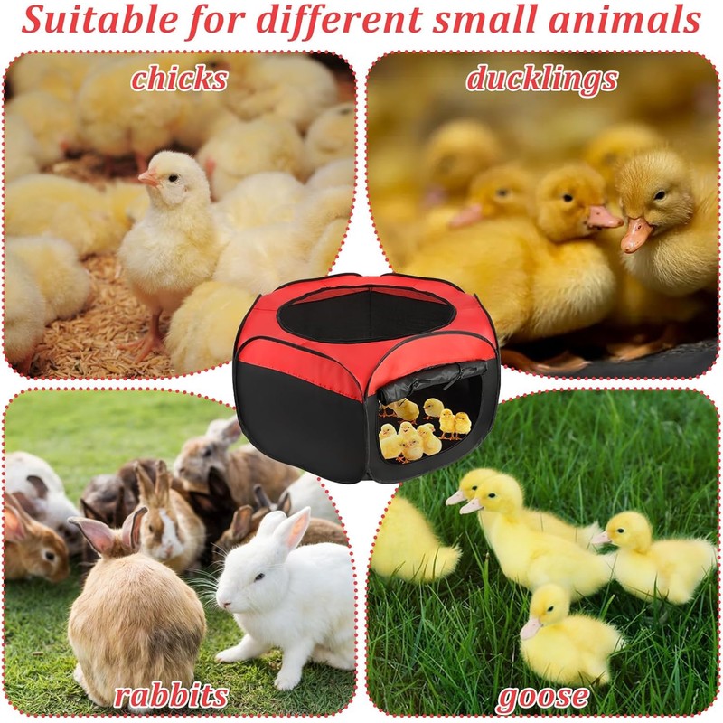 45 x 20 Brooder Box for Chicks Chick Brooder Boxes