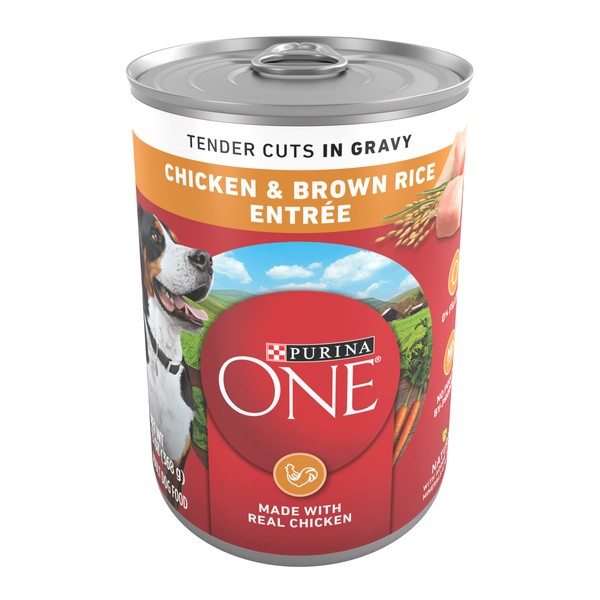 Purina ONE Natural High Protein Dog Food, Tender Cuts in Gravy Chicken and Brown Rice Entree - 13 oz. Can
