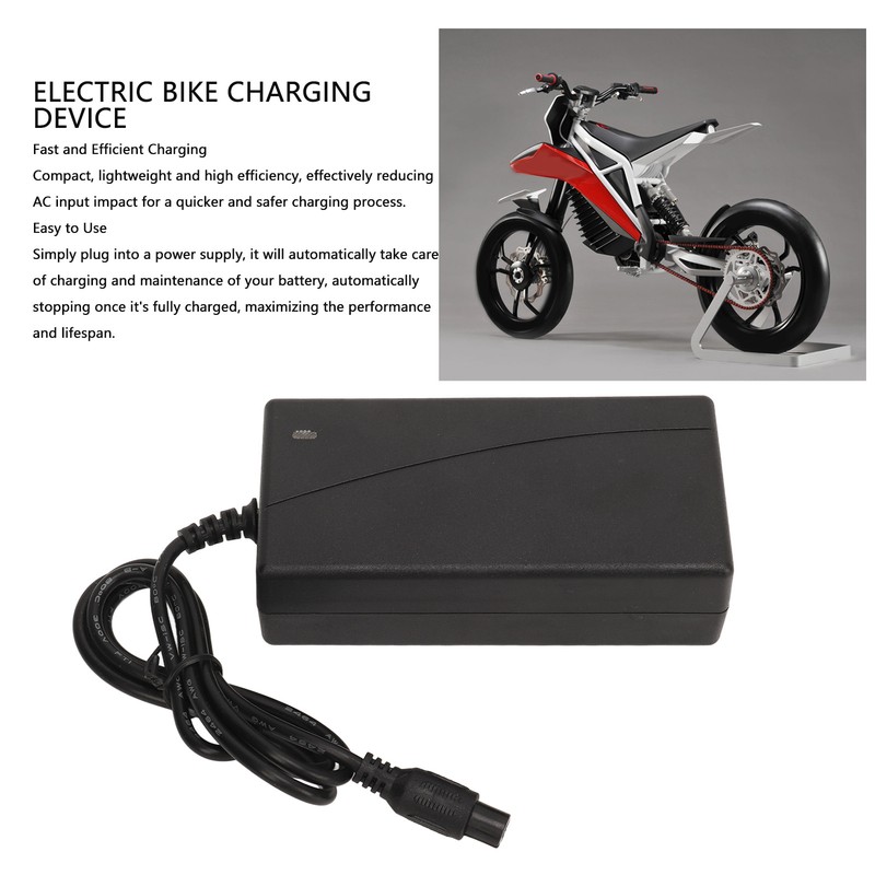 Charging Device 2A 3 Prong Reliable Smart Lithium Battery Charging
