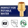 Lead-Free Brass 1/2" Pex Fittings,1/2 Pex Male Adapter, PEX 1/2"