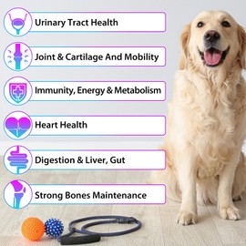 Oimmal 15 in 1 Dog Multivitamin, All-in-One Multi Liquid Multivitamin for Dogs, Dog Vitamins and Supplement with Digestive, Immunity, Allergy Skin & Coat Support, Hip & Joint, All Ages, Breeds 2 oz