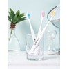 Dr. Vita fine bristle toothbrush SET / 닥터비타 미세모 칫솔