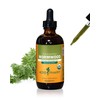 Herb Pharm Certified Organic Wormwood Liquid Extract for Digestive System