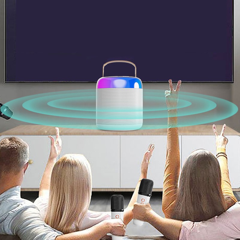 Wireless Karaoke Speakers RGB Light Bluetooth5.3 Speaker with 2 Wireless