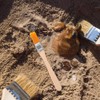 3 Sets of Excavation Tools: Archaeological Dig Tool Kit for