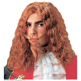 Musketeer s With Moustache & Goatee Beard Wig for Hair Accessory Fancy Dress