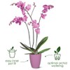 elho Brussels Orchid High 12.5 - Flower Pot for Indoor