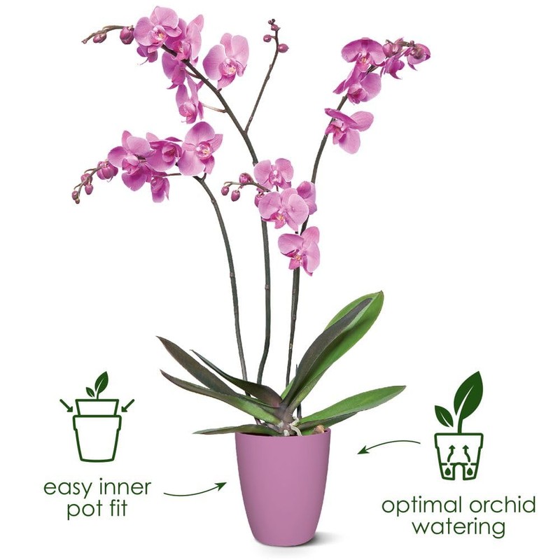 elho Brussels Orchid High 12.5 - Flower Pot for Indoor
