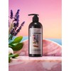 Suavis Lavender Essential Body Wash 500ml WS01AB12 / 수아비스 라벤더